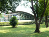 รูปแบบ/รูปภาพ