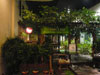 Logo/Picture