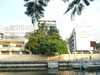 Logo/Picture