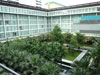 ภาพเล็กของ โรงแรมพูลแมน บางกอก คิง พาวเวอร์: (5). Inner Garden