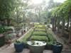 A thumbnail of Somerset Park Suanplu: (4). Garden
