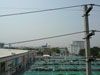 A thumbnail of BTS - On Nut: (9). View toward Southwest