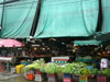 Click to enlarge ตลาดประดิพัทธซอย 23: (1). ตลาด/บาซ่า