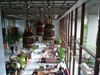 Click to Enlarge Lobby Lounge - Mandarin Oriental: (1). Restaurant