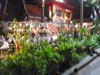นาฎยศาลา เทอเรส (Status Unknown): (1). ร้านอาหาร