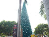 Click to Enlarge Fashion Island: (1). Christmas 2007