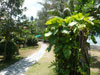 A thumbnail of Koh Chang Paradise Resort & Spa: (5). Hotel
