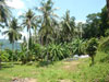 A thumbnail of Kao Nok Home Stay: (4). Hotel
