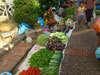 A thumbnail of Morning Market: (10). Market/Bazaar