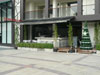 คาเฟ่ ทวิต - พัทยา ซิตี้ วอล์ค: (1). ร้านอาหาร
