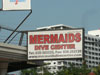 A thumbnail of Mermaids Dive Center - Jomtien: (2). Activity