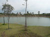 Click to Enlarge Suan Sukaparp: (1). Park