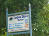 A thumbnail of Lotus Dive Resort: (2). Hotel