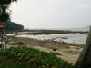 A thumbnail of Amari Phuket: (12). The beach in front of the hotel