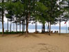 A thumbnail of Centara Grand West Sands Resort & Villas Phuket: (12). The beach in front of the hotel