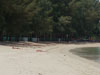 A thumbnail of Novotel Phuket Kamala Beach: (15). The beach in front of the hotel