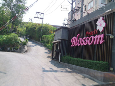 A photo of Peach Blossom Resort
