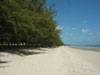 A thumbnail of Laem Mae Phim Beach: (12). Area