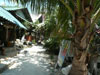 A thumbnail of Jelly Fish Bungalow: (2). Hotel