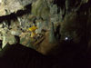 A thumbnail of Pou Kham Cave: (2). Land Feature