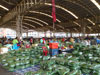 A thumbnail of Talat Thai: (9). Market/Bazaar
