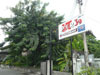 ภาพเล็กของ ร้านอาหาร เพียร์ 39: (2). ร้านอาหาร