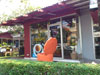 A thumbnail of Baan Dinpaow: (3). Restaurant