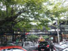 ภาพเล็กของ พาคิโนอาหารอิตาเลี่ยน &พิซเซอเรีย (ปิด): (2). ร้านอาหาร