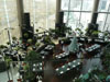 A thumbnail of Orangery (Closed): (4). Dining Complex