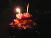 A thumbnail of Chaloem Phrakiat Park: (9). Loi Krathong 2008