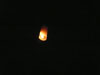 A thumbnail of Chaloem Phrakiat Park: (11). Loi Krathong 2008