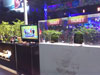 A thumbnail of RCA: (5). New Year Countdown 2013