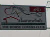 A thumbnail of Horse Lover's Club: (3). Activity