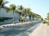 A thumbnail of IMPACT Muang Thong Thani: (2). Building
