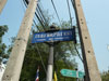 A thumbnail of Parinayok Road: (3). No Info.