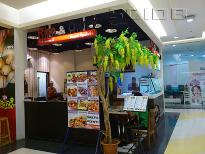 A photo of Rice & Curry - Future Park Rangsit