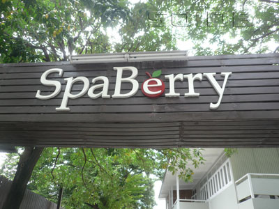 A photo of SpaBerry
