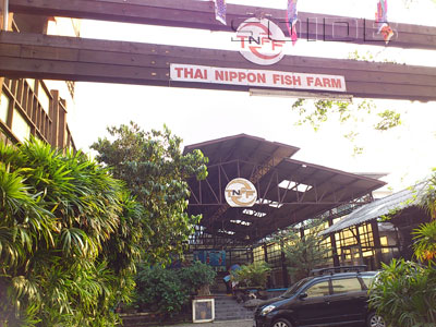 ภาพของ ไทยนิปปอน ฟิช ฟาร์ม
