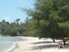 ภาพเล็กของ เกาะช้าง พาราไดซ์ รีสอร์ท: (14). โรงแรม
