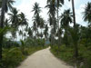 A thumbnail of Keereeta Lagoon: (3). Restaurant
