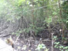 A thumbnail of Keereeta Lagoon: (7). Restaurant