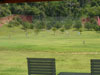 ภาพเล็กของ Koh Chang Cookies Driving Range Golf Club: (2). สนามไดร์ฟกอล์ฟ