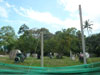 A thumbnail of Paint Ball World (Status Unknown): (3). Activity
