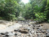 A thumbnail of Than Mayom Waterfall: (4). Land Feature