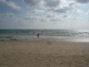 ภาพเล็กของ หาดทรายขาว: (8). แอเรีย