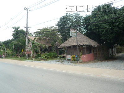 A photo of Tonsai