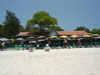 A thumbnail of Nong Seafood: (1). Restaurant