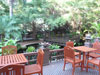 A thumbnail of The Greenery: (2). Restaurant