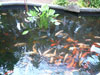 A thumbnail of The Greenery: (3). Restaurant