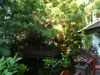 A thumbnail of The Greenery: (4). Restaurant